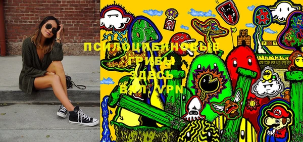 хмурый Гусиноозёрск